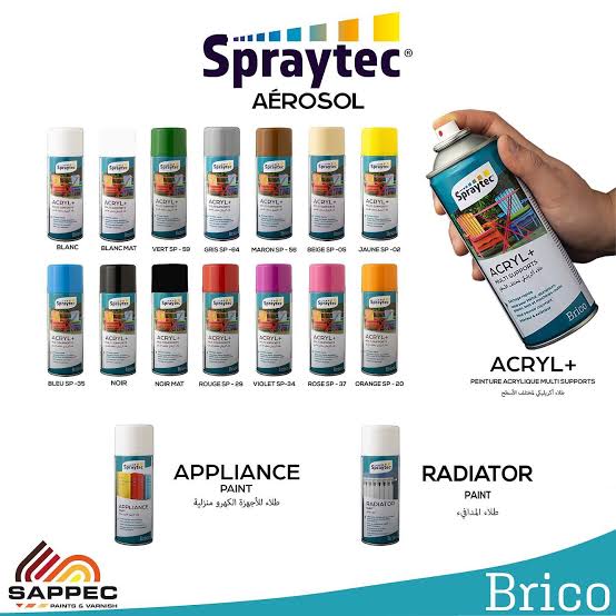 PEINTURE SPRAY NOIR MAT+BRIILL